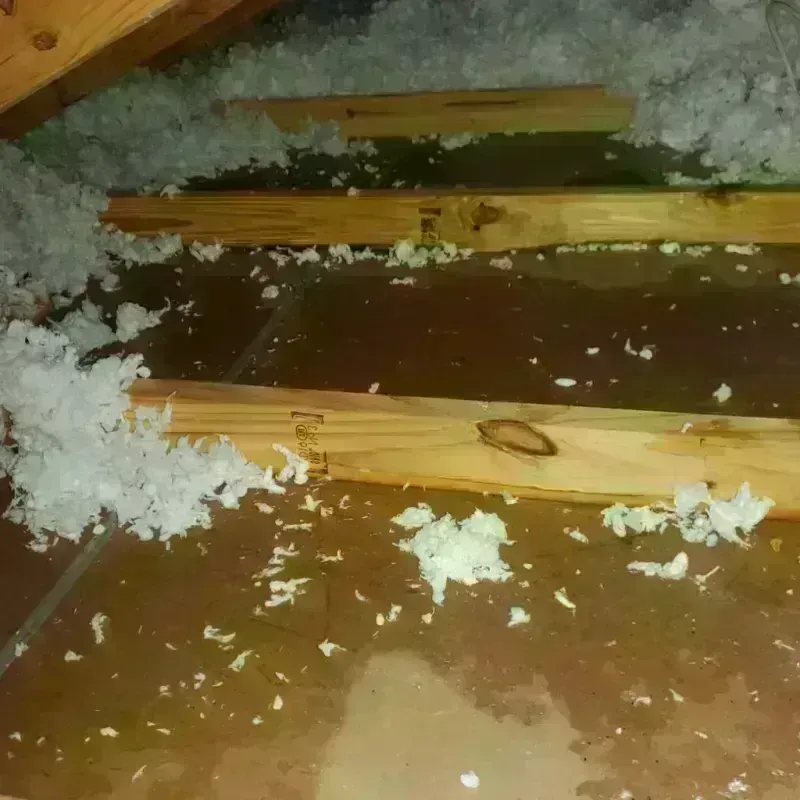 Attic Water Damage in Longbranch, WA