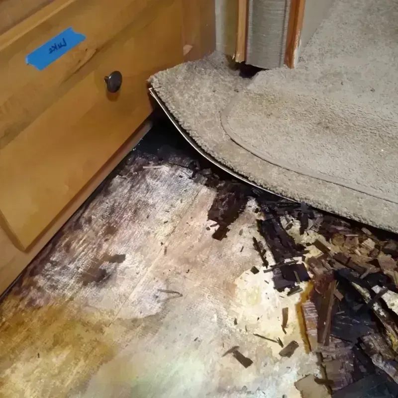 Wood Floor Water Damage in Longbranch, WA